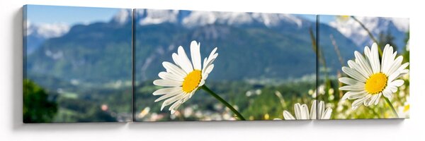 Obraz - Jaro v Alpách (170x50 cm)