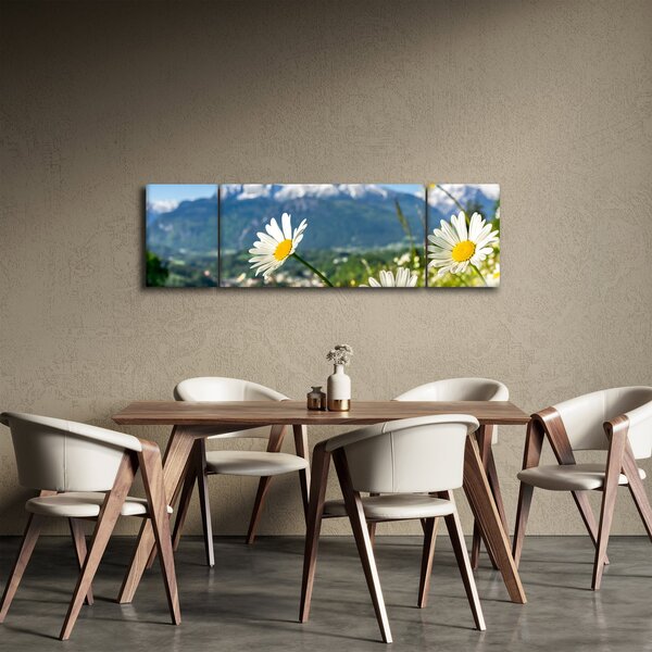 Obraz - Jaro v Alpách (170x50 cm)