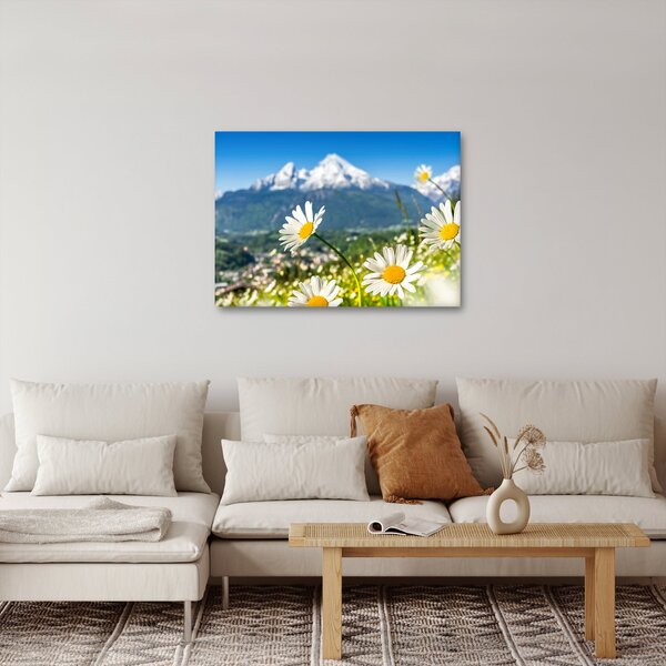 Obraz - Jaro v Alpách (70x50 cm)