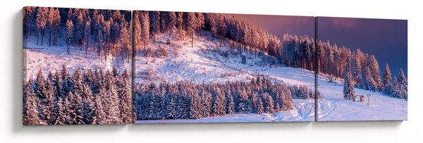 Obraz zimní krajiny (170x50 cm)