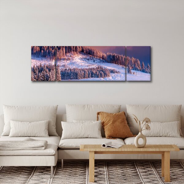 Obraz zimní krajiny (170x50 cm)