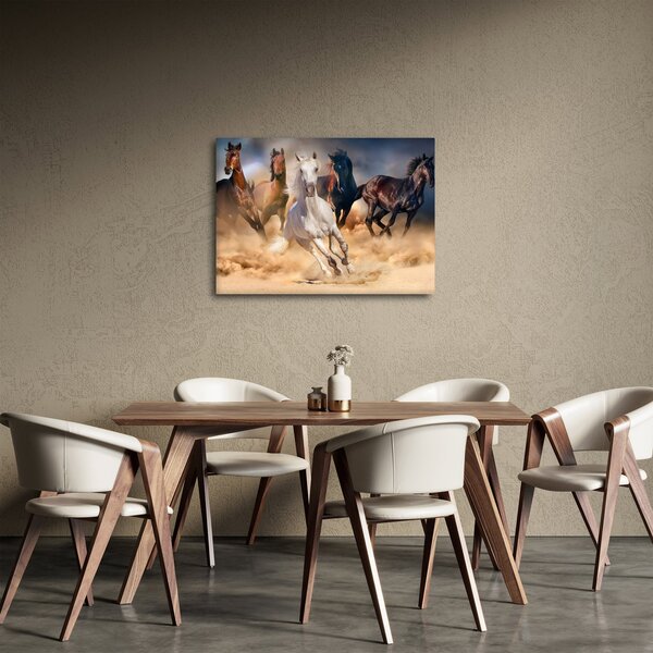 Obraz - Koně v poušti (70x50 cm)