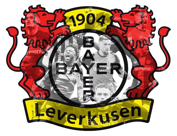 Dřevěný barevný obraz Bayer 04 Leverkusen