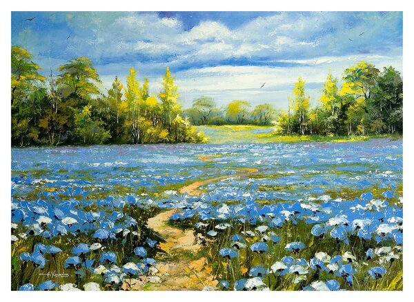 Obraz - Cestička v poli, olejomalba (70x50 cm)