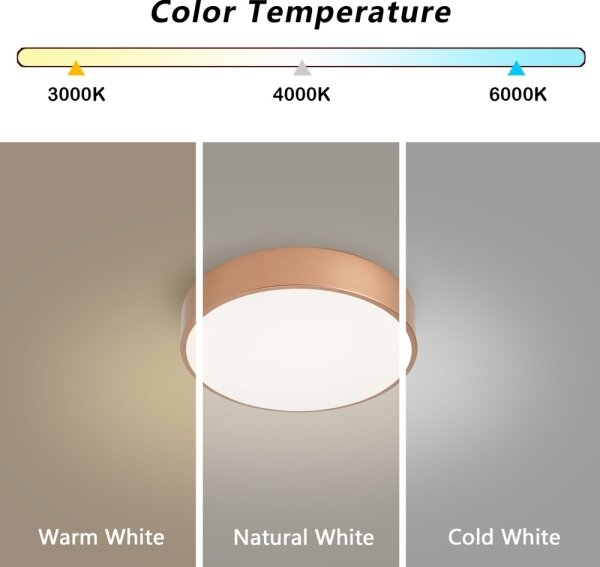 Brilagi - LED Stropní svít.POOL LED/24W/230V 3000/4000/6000K pr. 20 cm bronzová