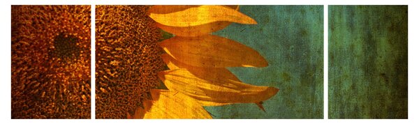 Obraz - Slunečnice (170x50 cm)
