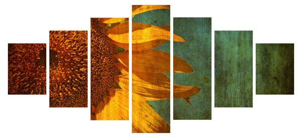 Obraz - Slunečnice (210x100 cm)