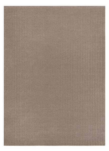 Koberec TEXTURA 488.24.LA600 Osta hnědý