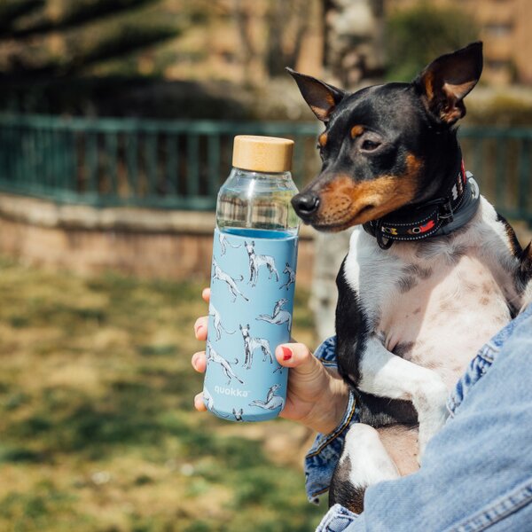Skleněná lahev na vodu Flow, 660ml, Quokka, pejsci