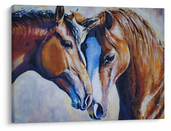 Obraz - Zamilovaní koně (70x50 cm)