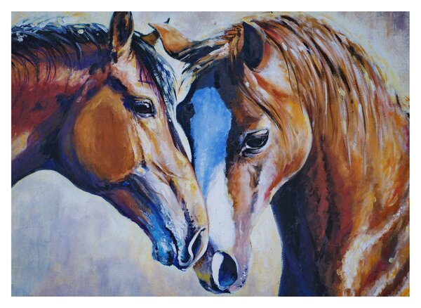 Obraz - Zamilovaní koně (70x50 cm)