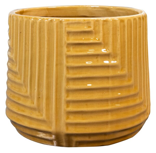 Ter Steege Obal Gio mustard D15 H13