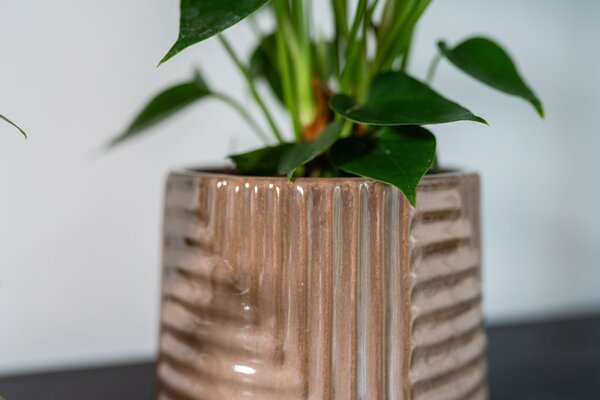 Ter Steege Obal Gio taupe D19 H15