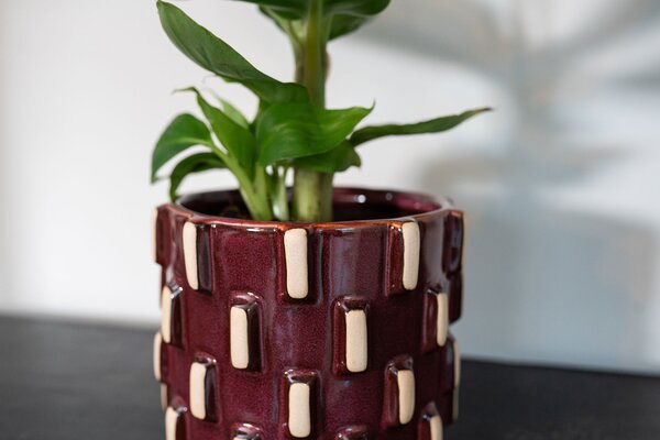 Ter Steege Obal Inez burgundy D12 H11