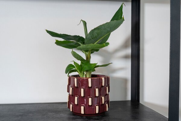 Obal Inez burgundy D15 H13