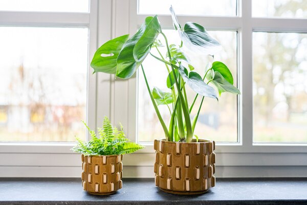 Ter Steege Obal Inez okrová D15 H13