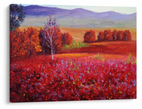 Obraz červené krajiny (70x50 cm)