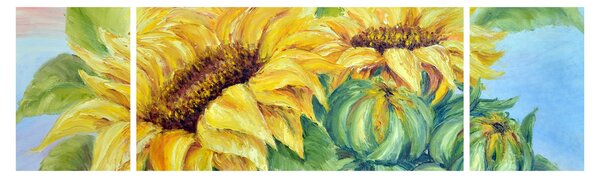 Obraz rozkvetlých slunečnic (170x50 cm)