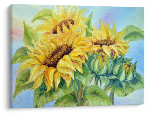 Obraz rozkvetlých slunečnic (70x50 cm)