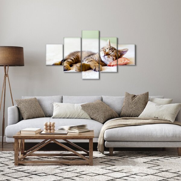 Obraz - Spící kotě (125x70 cm)