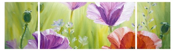 Obraz - Vlčí máky (170x50 cm)