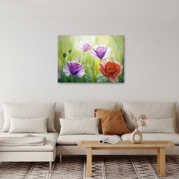 Obraz - Vlčí máky (70x50 cm)