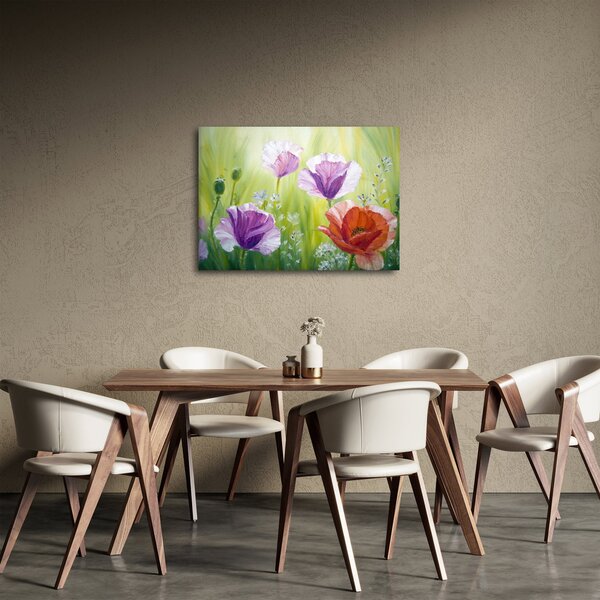 Obraz - Vlčí máky (70x50 cm)