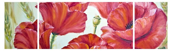 Obraz - Květy vlčích máků (170x50 cm)