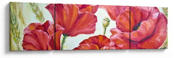 Obraz - Květy vlčích máků (170x50 cm)