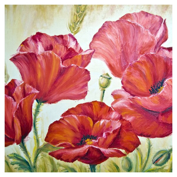 Obraz - Květy vlčích máků (30x30 cm)