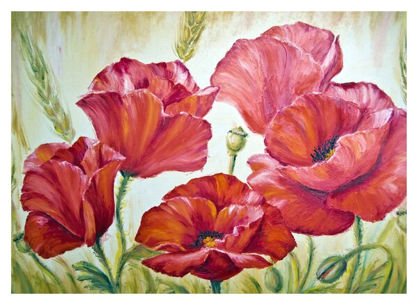 Obraz - Květy vlčích máků (70x50 cm)
