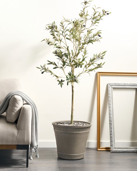 Květináč CISTUS 44 cm Šedá