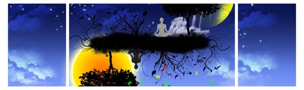Obraz - Reflekce rovnováhy (170x50 cm)