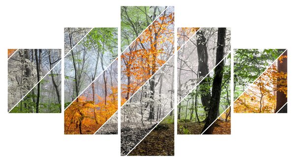 Obraz - Střídání ročních období (125x70 cm)