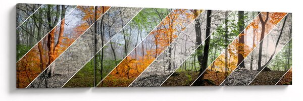 Obraz - Střídání ročních období (170x50 cm)