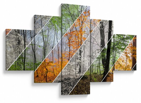 Obraz - Střídání ročních období (125x70 cm)