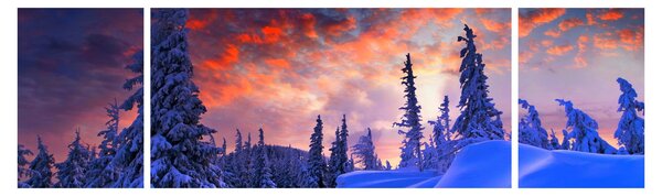 Obraz - Zimní soumrak (170x50 cm)