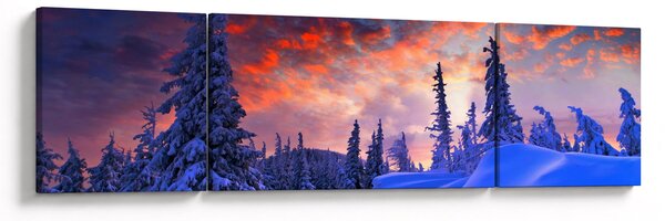 Obraz - Zimní soumrak (170x50 cm)