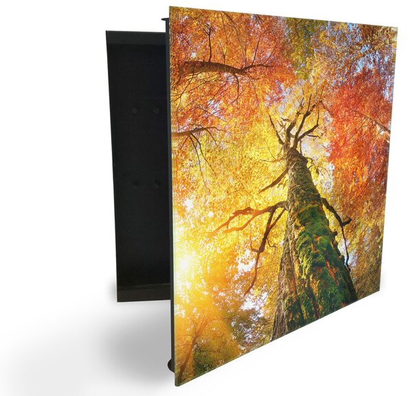 Glasdekor skříňka na klíče - koruna stromu podzim - Pravé / Bílá
