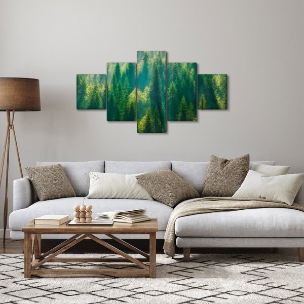Obraz - Borovicový les (125x70 cm)