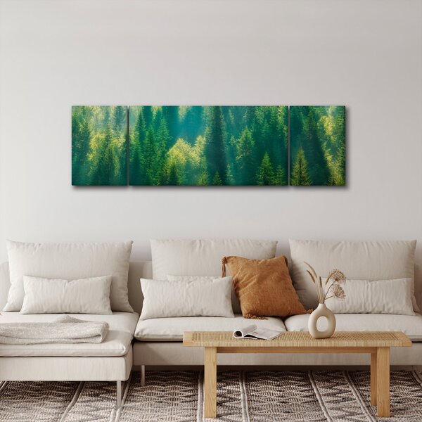 Obraz - Borovicový les (170x50 cm)