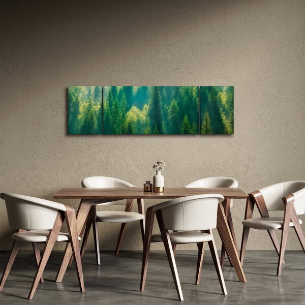 Obraz - Borovicový les (170x50 cm)