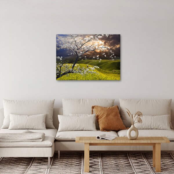 Obraz - Rozkvetlý strom v krajině (70x50 cm)