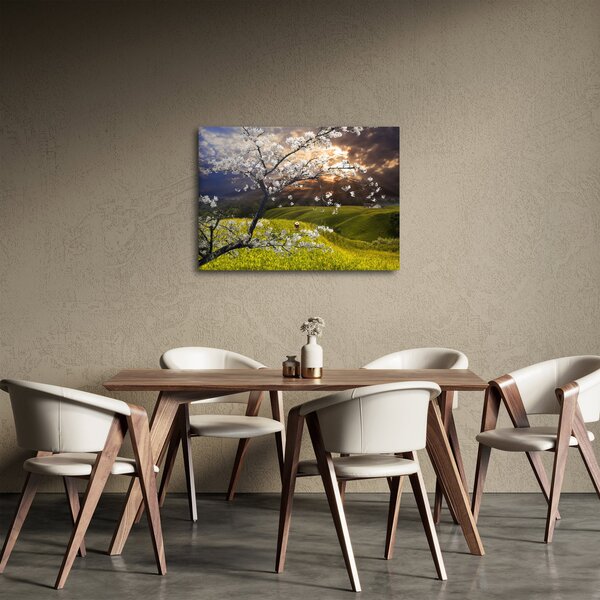 Obraz - Rozkvetlý strom v krajině (70x50 cm)