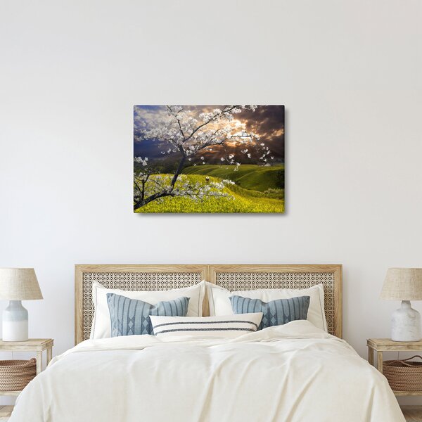 Obraz - Rozkvetlý strom v krajině (70x50 cm)