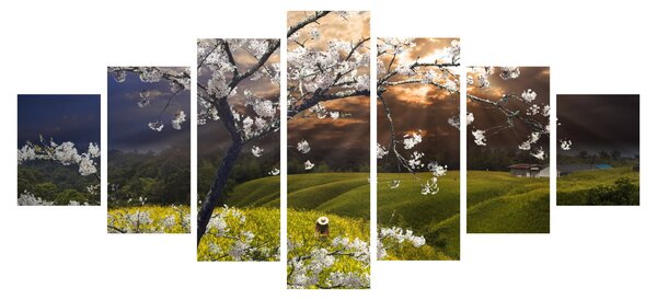 Obraz - Rozkvetlý strom v krajině (210x100 cm)