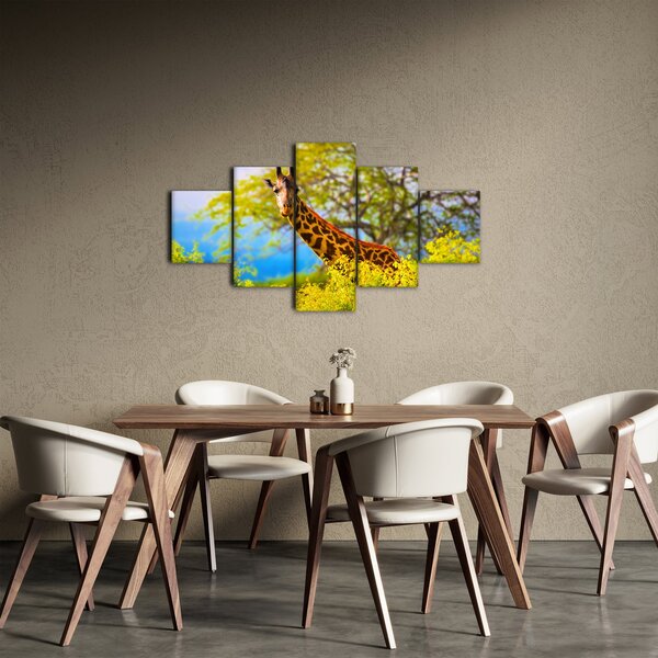 Obraz žirafy v Africe (125x70 cm)
