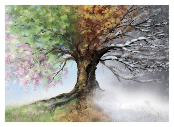 Obraz - Strom čtyř ročních období (70x50 cm)