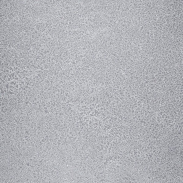 FATRA Novoflor extra sparkle 2440-58 Role | Šíře role 2 m | Délka návinu 12 m - 24 m2