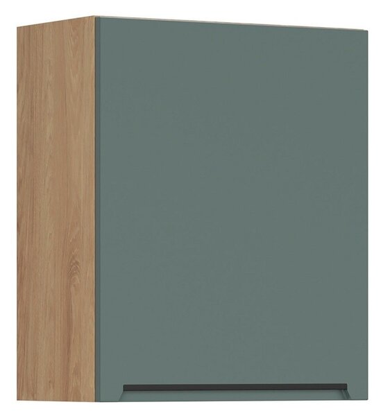 BRW Kuchyně Family Line Iris G-60/72-L, boho green matt